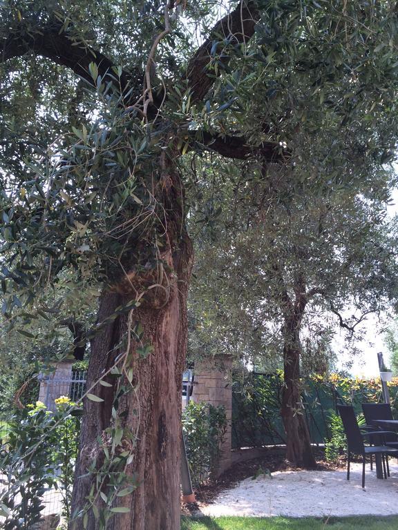 ארקו Casa Alla Rocca מראה חיצוני תמונה